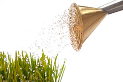 istock_000009166677xsmall