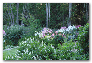 bay-of-fundybar-harbor-047