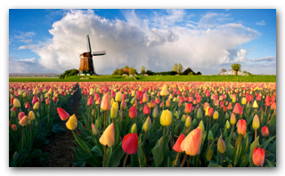 istock_000001307816xsmall