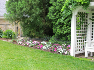 Necessities-_eer_netting