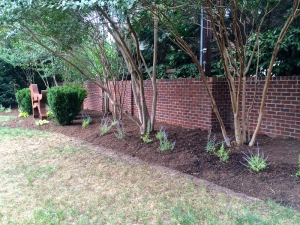 FA1 dog with purple flowers