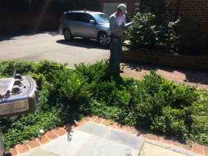 11_featrue of mothnbefore