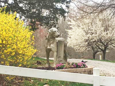 2_ANewKind-of-Feature